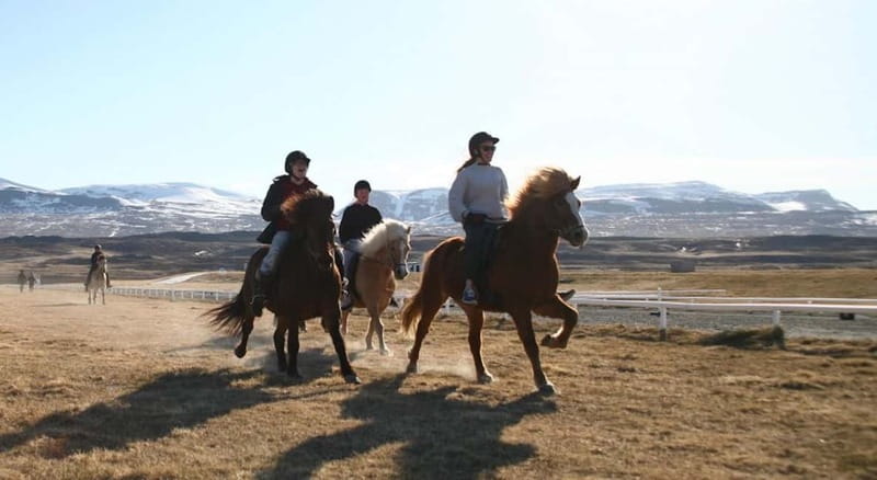 Varmahlid: Viking Horse Riding Tour - Duration and rhythm: how the 1.5 hours usually feels in practice