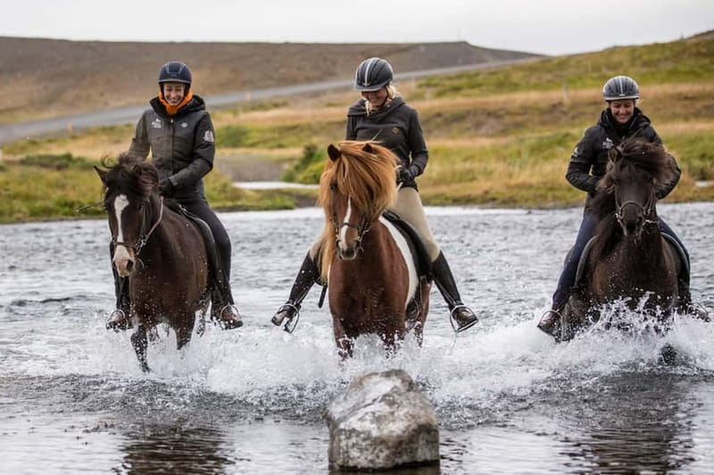 Varmahlid: Viking Horse Riding Tour - Hestasport Reception in Varmahlíð, and how to show up ready