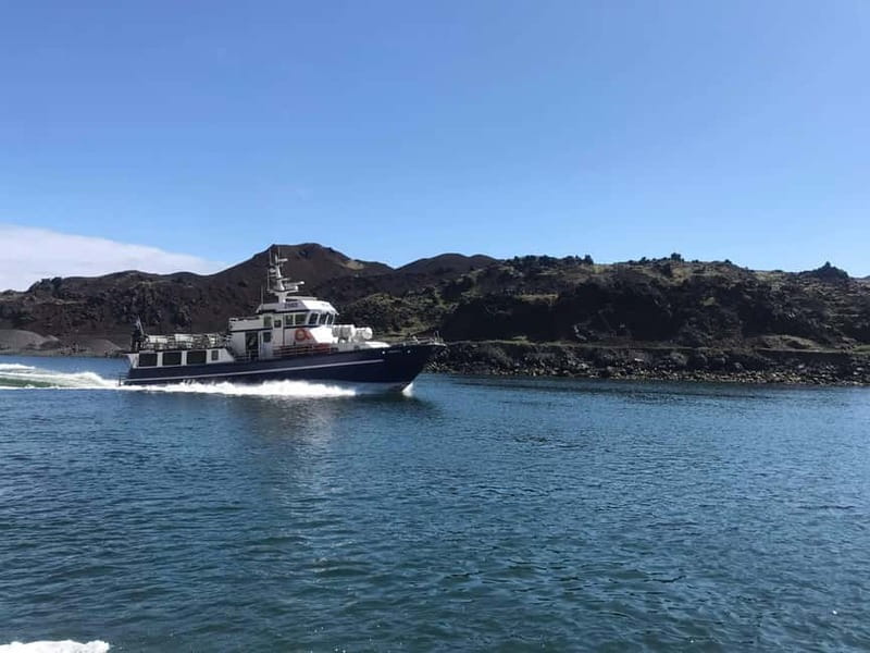 Vestmannaeyjar: Heimaey Island Round Boat Tour - Volcanic Stories That Actually Explain What You’re Seeing