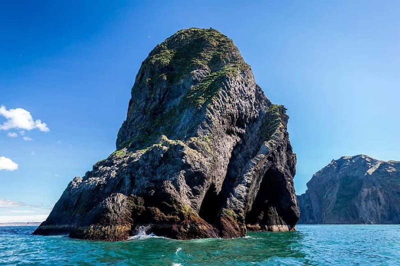 Vestmannaeyjar: One Hour Small Islands Trip - Sea caves and cliff-hugging viewpoints: the part that makes the photos work