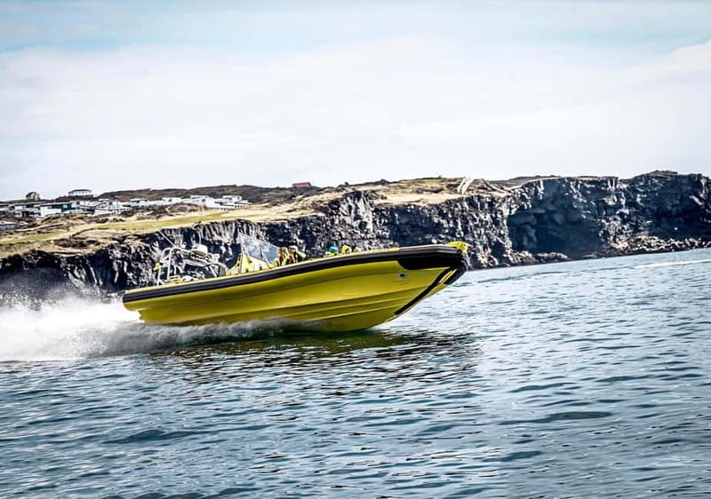 Vestmannaeyjar: One Hour Small Islands Trip - Price and value: $153 for an hour of speed, caves, and guide time