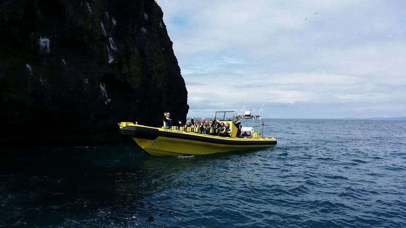 Vestmannaeyjar: One Hour Small Islands Trip - The ride starts at the harbor, and you’ll feel it right away