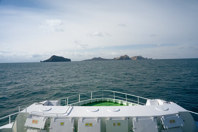 Vestmannaeyjar, Puffins & Volcanoes Small Group Day Tour - Vestmannaeyjar on Heimaey, with 30 minutes that set the tone