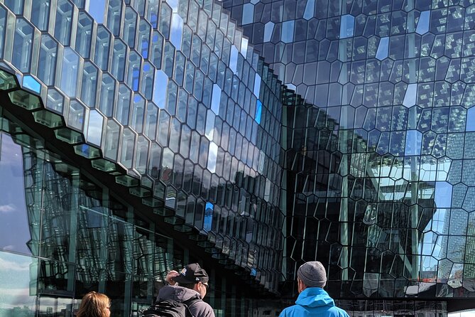 Walk with a Viking: Private Tour of Reykjavik's Top Sights and Local Spots - Lake Tjörnin: birdlife, frozen winter steps, and central calm