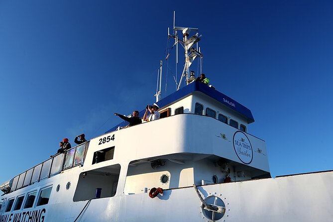 Whale Watching and Marine Life Tour in Reykjavik - Wildlife guarantee and why it protects your vacation budget