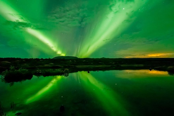 Whale Watching and Northern Lights Half-Day Combo Tour - Price and value: what $176 includes for two major moments