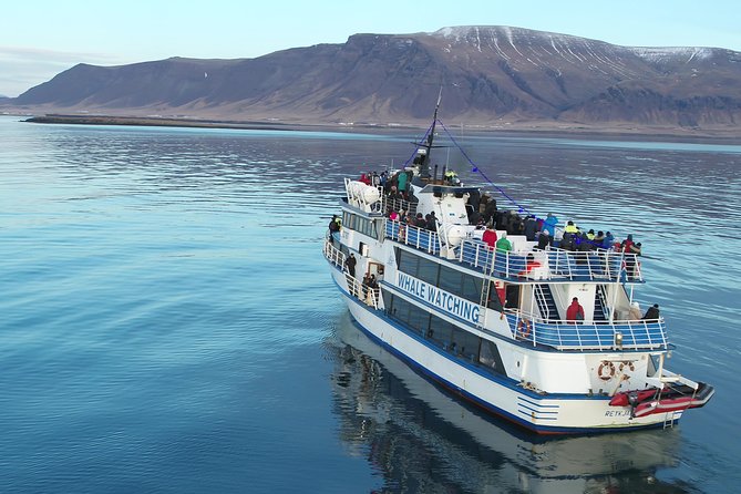 Whale-Watching Boat Tour with Expert Guide from Reykjavik - Picking your timing: 2.5-hour express vs 3.5-hour cruise