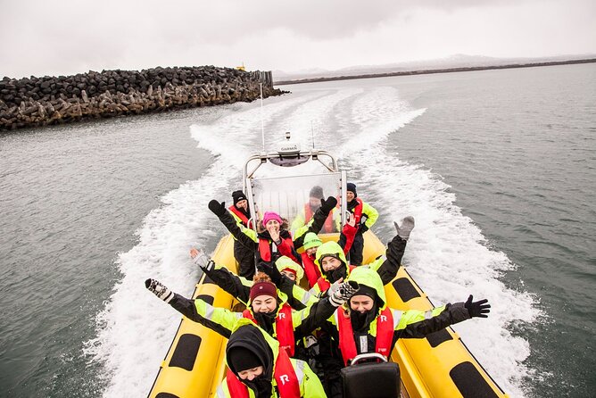 Whale Watching by RIB Speedboat from Downtown Reykjavik - Key highlights you’ll actually care about