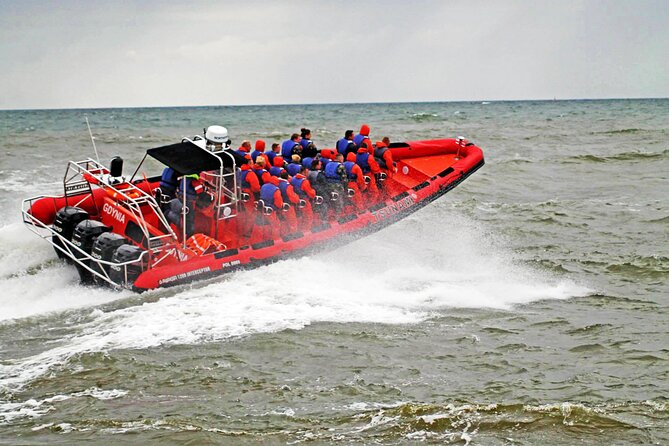 Whale Watching by RIB Speedboat from Downtown Reykjavik - Whale watching by RIB from downtown Reykjavik: what this experience is really like