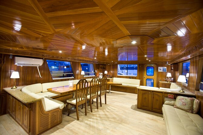 Whale Watching Cruise on a Yacht in Reykjavik - Boat ethics and the no sonar conversation