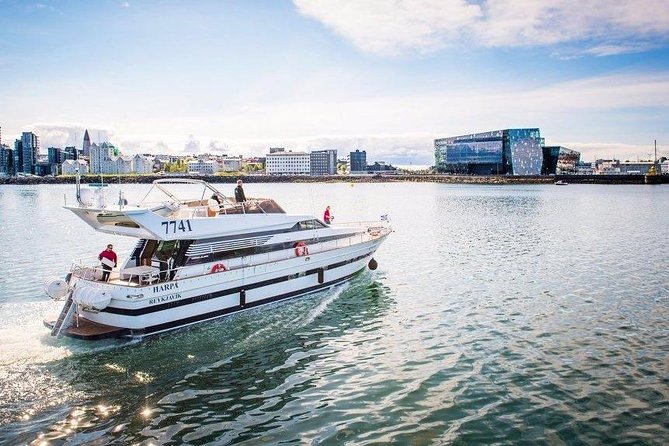 Whale Watching & Dolphin Yacht Cruise - Key things I’d note before you book