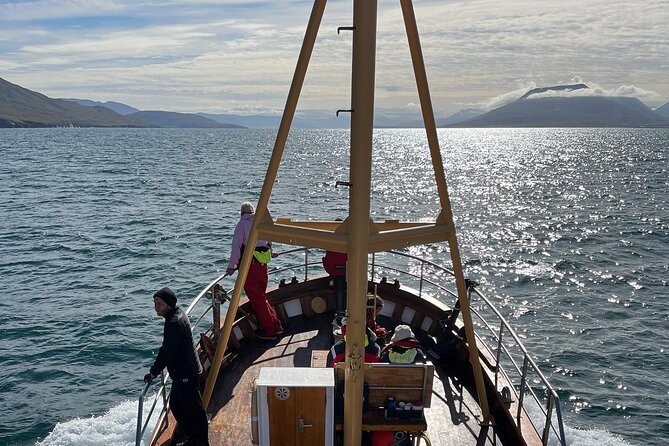 Whale Watching from Akureyri Port - The Return Along Eyjafjörður Coastline, Make It a Real Half-Day