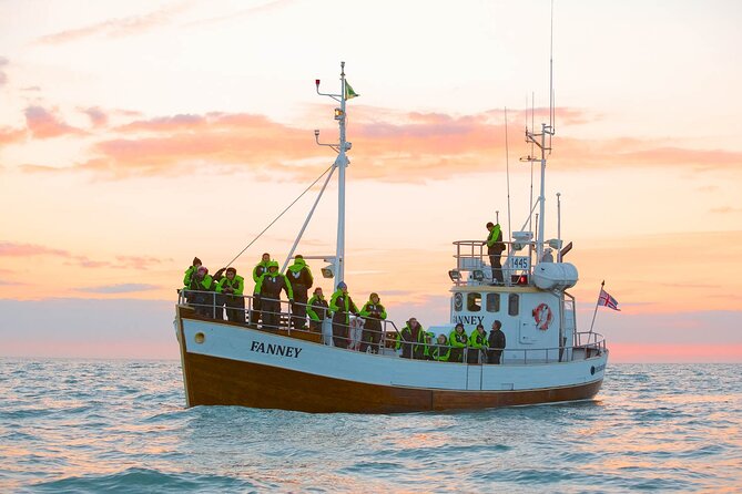 Whale Watching in Husavik - Respectful Viewing: The Safety and Ethics Angle