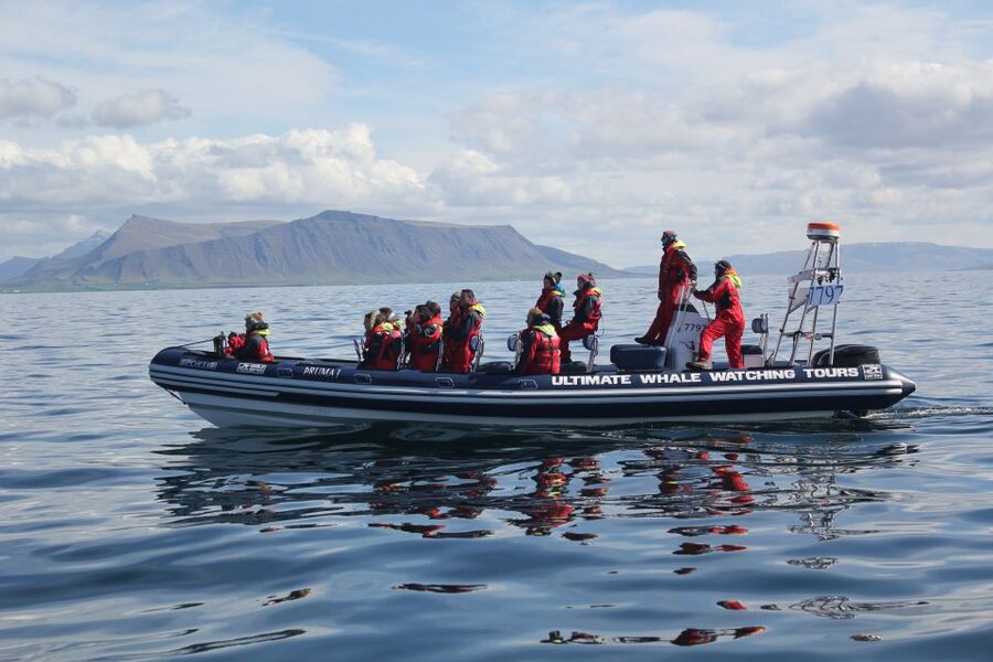 Whale Watching in Reykjavik by Speedboat - Weather and Rescheduling Reality