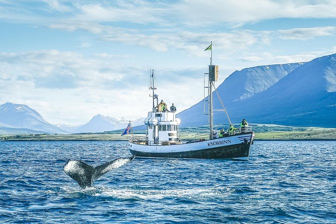 Whale Watching on board a Traditional Oak Boat from Árskógssandur - Staying warm matters: overalls, hats, gloves, and good shoes