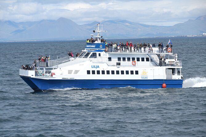 Whale Watching Tour from Akureyri City Central - Whale Watching From Akureyri City Center: What the Experience Really Feels Like