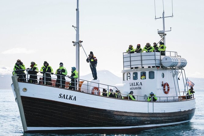 Whales and Puffins Tour from Husavik - Price and value: is $130 fair for this mix?