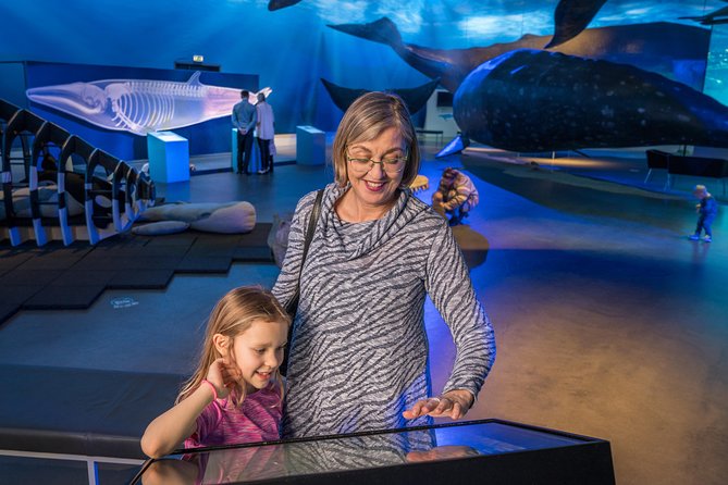 Whales Of Iceland Admission Ticket - Walking Among 25+ Life-Sized Whale Models
