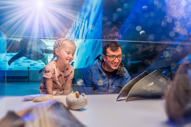 Whales Of Iceland Admission Ticket - Fin Whale Theatre: Films That Change the Mood