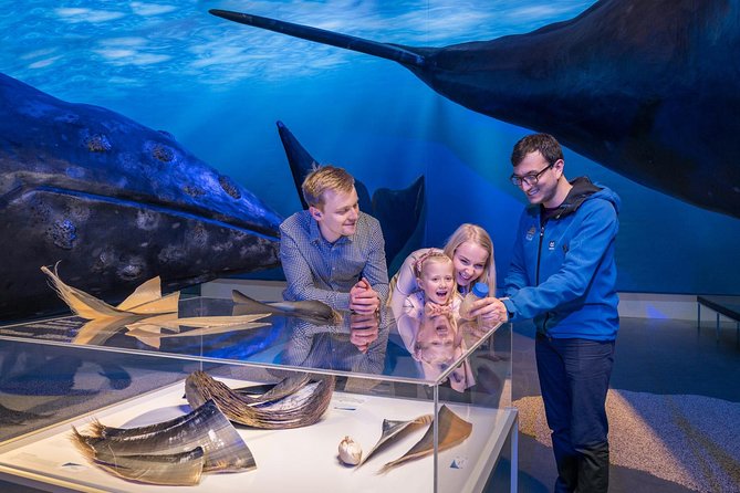 Whales of Iceland from Land and Sea - A Land-And-Sea Plan That Turns Seeing Whales Into a Lesson