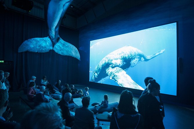 Whales of Iceland from Land and Sea - Who Should Book This Whale Tour (And Who Might Want a Different Plan)?