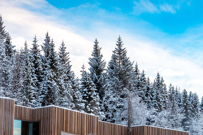 Winter Combo Godafoss Christmas House and The Forest Lagoon - Christmas House in Eyjafjordur: a short, magical reset